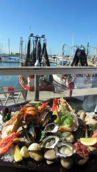 Tempest Seafood Restaurant Teppanyaki Grill