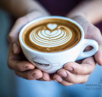 Extraction Artisan coffee - Bridge Guide