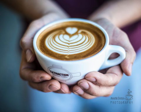 Extraction Artisan Coffee - Bridge Guide 0