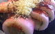 On A Roll Sushi - thumb 4