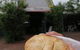 Annabel's Pantry Kurunda - thumb 5