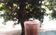 Annabel's Pantry Kurunda - thumb 6