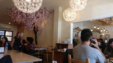 Holly's Cafe - Click Find 0