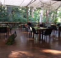The Restaurant at Cedar Park - Click Find