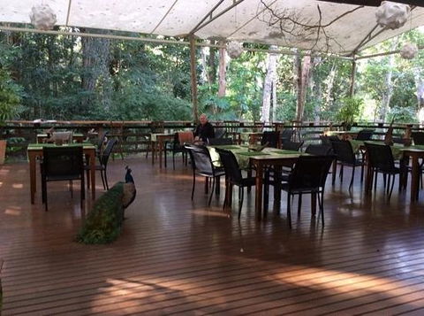 The Restaurant At Cedar Park - Click Find 0