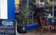 Troy's Coffee Lounge - thumb 4