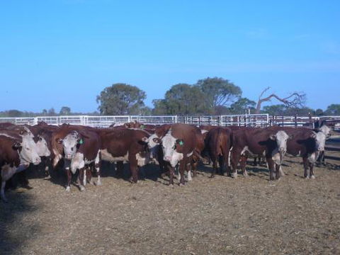 Territory Rural McPherson - Click Find 2