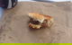 Brearley's Bakery - thumb 1