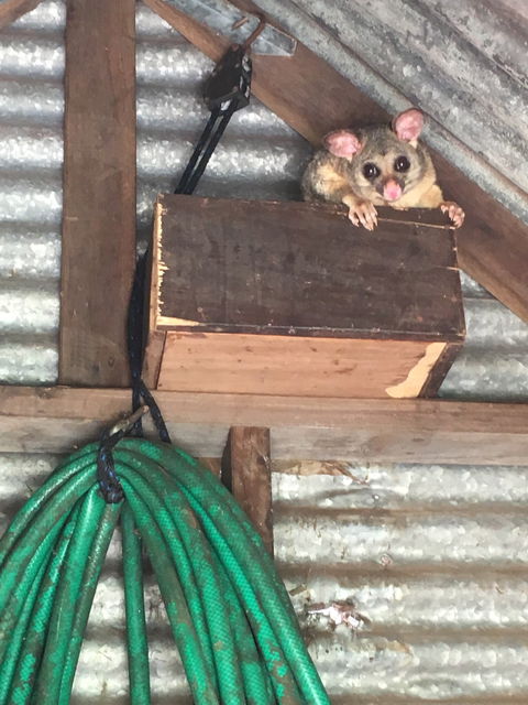 Cafe At Abbie Lane - Click Find 4