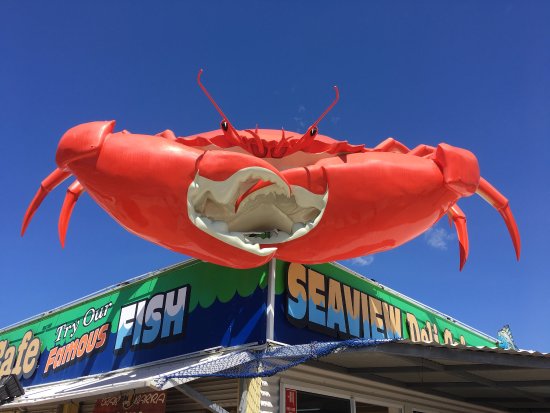 Cardwell QLD Lavinia