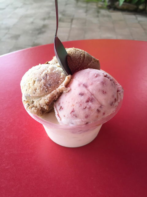 Daintree Ice Cream Company - DBD 6