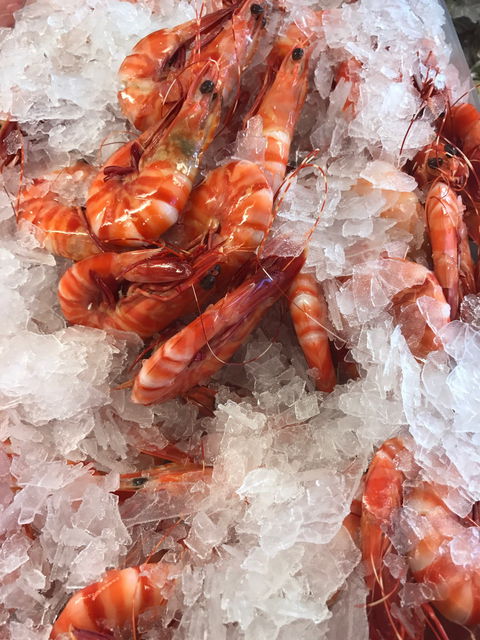 Kisseafoods - Lawyer Find 1