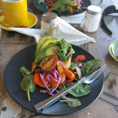 Ripe Harvest Cafe - Bridge Guide 0