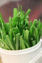 Sala Thai - Click Find 3