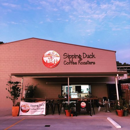 Sipping Duck Coffee Stratford - Lavinia 0