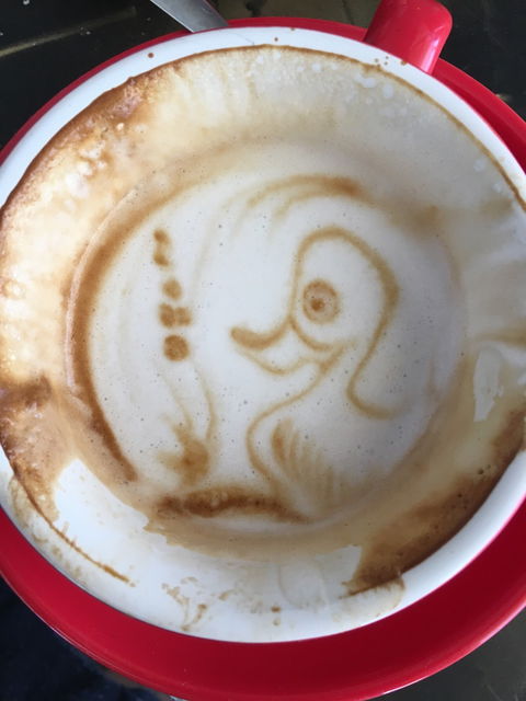 Sipping Duck Coffee Stratford - Lavinia 2