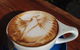 Sipping Duck Coffee Stratford - thumb 3