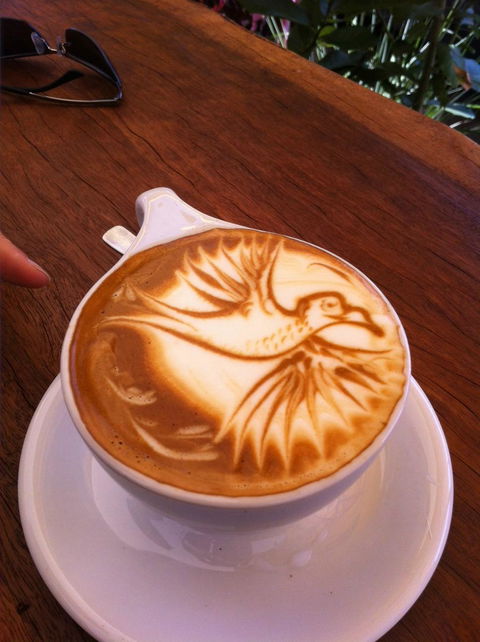 Sipping Duck Coffee Stratford - Lavinia 4