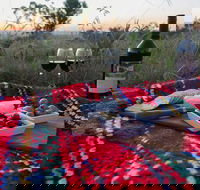 Bunnyconnellen Olive Grove  Vineyard - Click Find