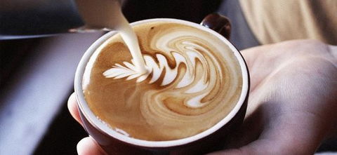 Coast Roast Cairns Central - Lawyer Find 0