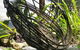 Cow Bay Hotel - thumb 6