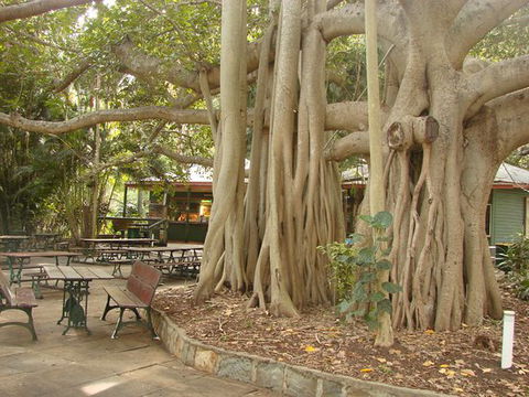 Gardens Tearooms - Click Find 0