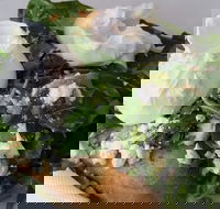 Jolt Bakery Cafe - Click Find