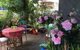 Kool Spot Cafe - thumb 0