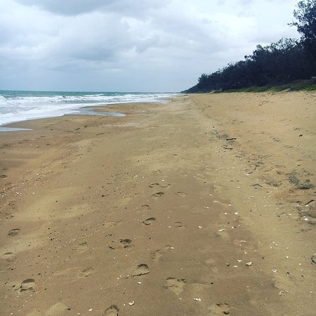 Frozen Food Wholesalers Moore Park Beach QLD Click Find