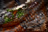 On the Rocks Restaurant