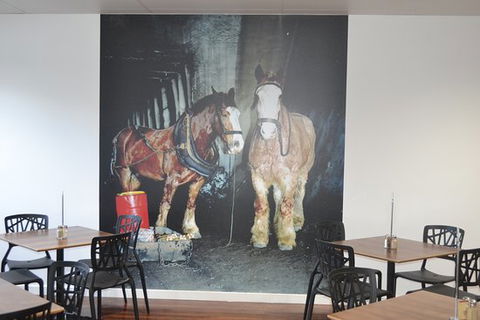 Pit Pony Hotel - Click Find 0