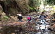 Rainforest - thumb 1