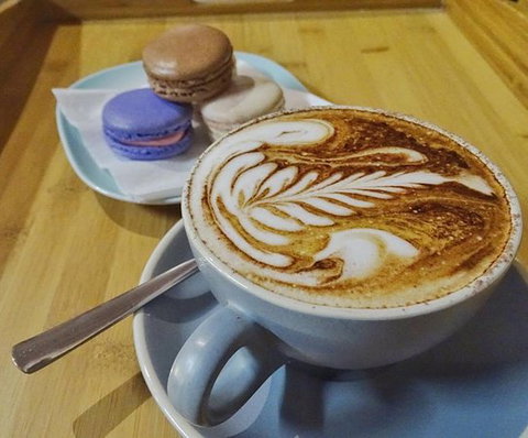 The Spring Bean - Bet 4u 0