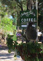 Chillagoe Gallery 29 - Click Find 1