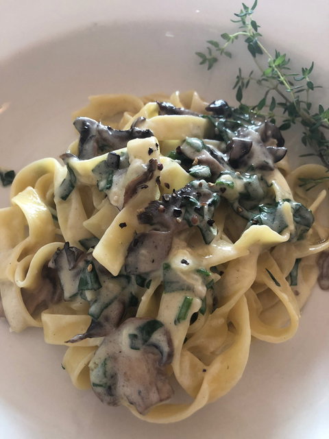 Geppetto Trattoria - Click Find 2