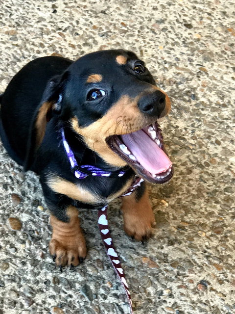 Harry's Place Cafe - Bet 4u 1