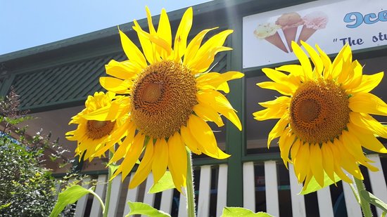 Numinbah Valley QLD Click Find