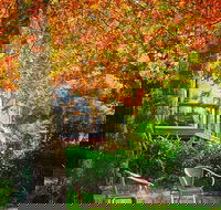 The Woods Ravensbourne