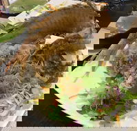 Bonjour Vietnam - Click Find