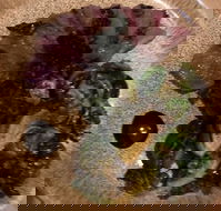 Future Future - Click Find