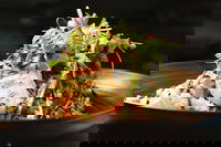 Business in Ascot Vale VIC Bet 4u Bet 4u