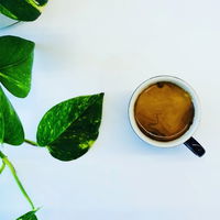Parade Espresso Bar