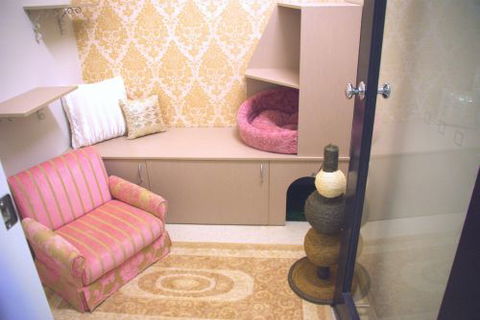 Luxury Cat Hotel - Bridge Guide 0