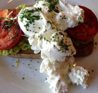 Monkey Can Fly Cafe - Bridge Guide