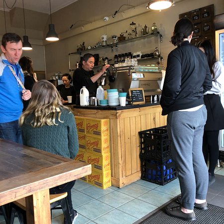 Brown Bear Cafe - DBD 0