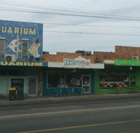 Harry's Fish  Chips - Bridge Guide