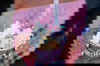 YOMG Mordialloc Yogurt