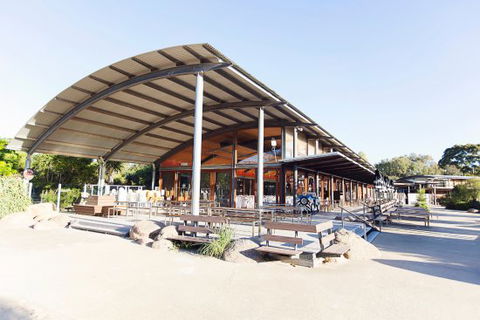 Meerkat Bistro - Bet 4u 0