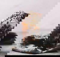 Only Mine - Click Find