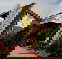 Purple Turtle Coffee Shop